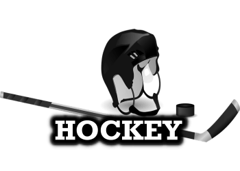 hockey pick up lines